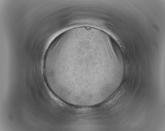 X0000112921535200909211042