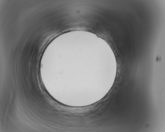 X0000112920001200910051119