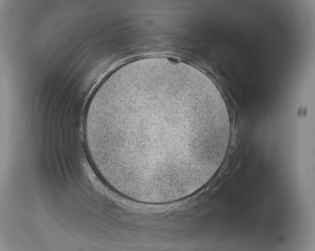 X0000112920002200910051119