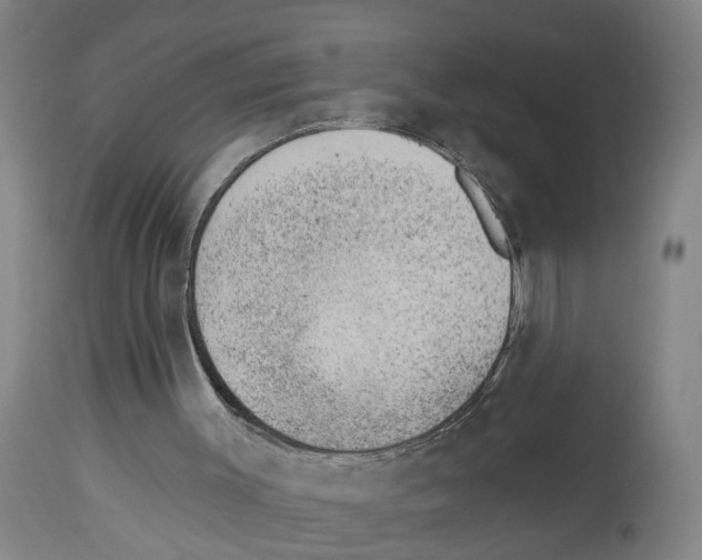 X0000112920003200910051119