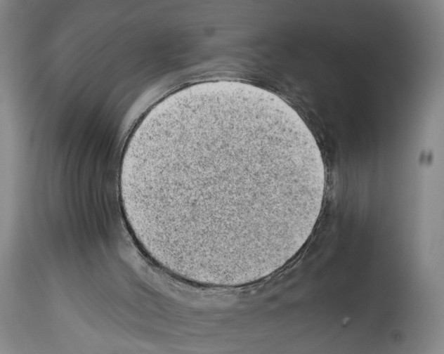 X0000112920004200910051119