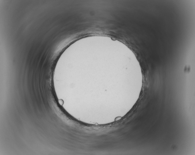X0000112920005200910051119