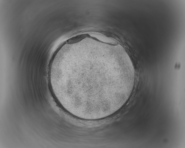 X0000112920006200910051119