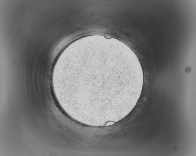 X0000112920007200910051119