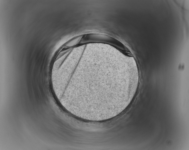 X0000112920008200910051119