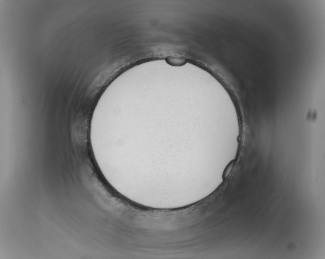 X0000112920009200910051119