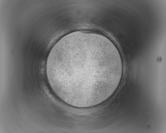 X0000112920010200910051119