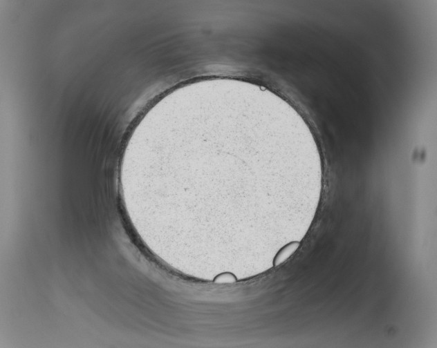 X0000112920011200910051119