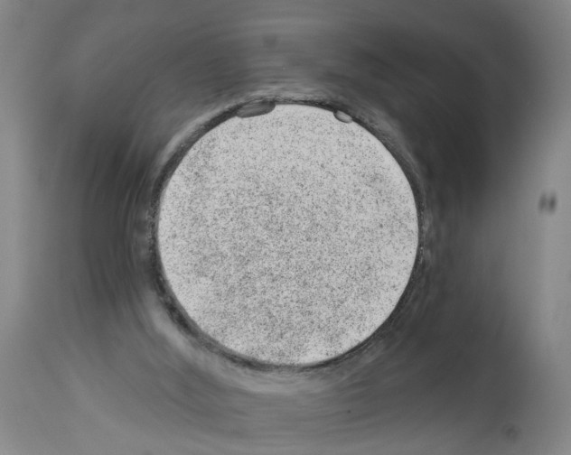 X0000112920012200910051119