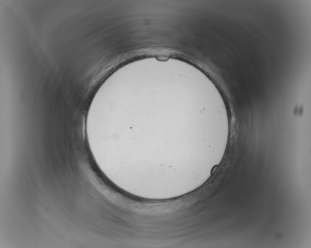 X0000112920013200910051119