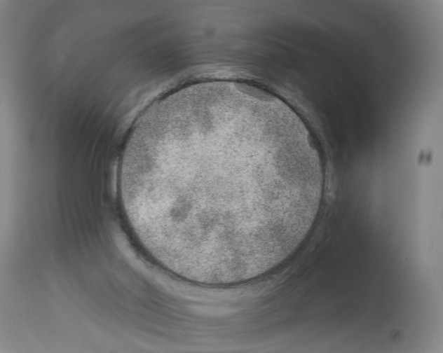 X0000112920014200910051119