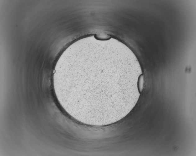 X0000112920015200910051119