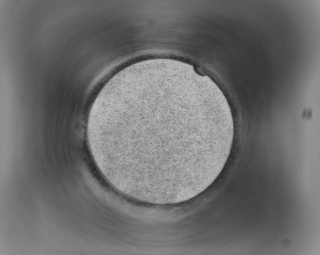 X0000112920016200910051119