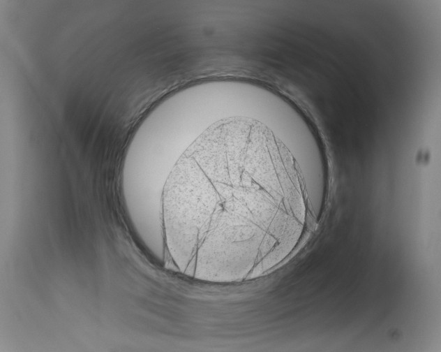 X0000112920017200910051119