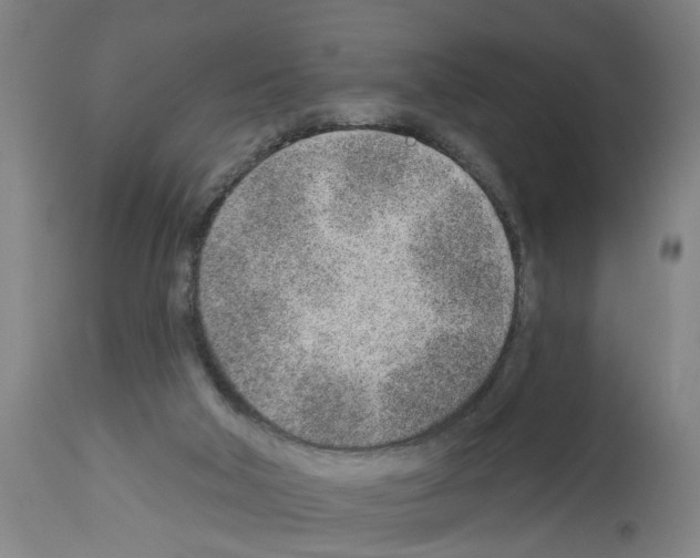 X0000112920018200910051119