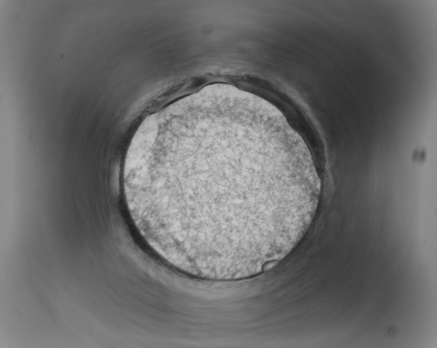 X0000112920019200910051119
