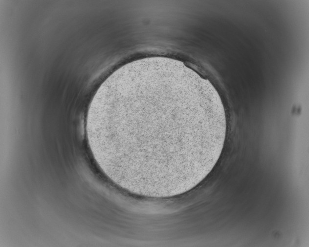 X0000112920020200910051119