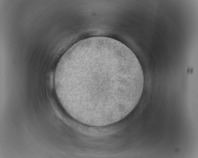 X0000112920022200910051119