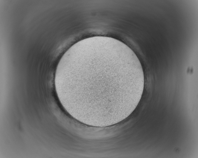 X0000112920023200910051119