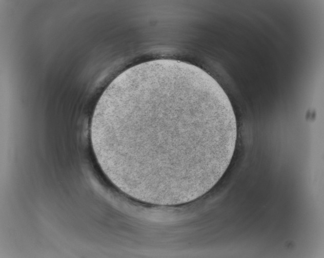 X0000112920024200910051119