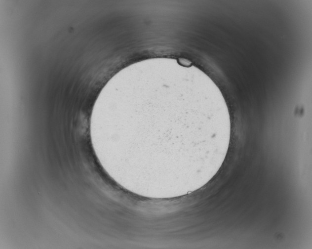 X0000112920025200910051119