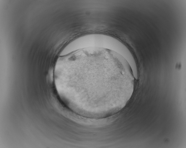 X0000112920027200910051119