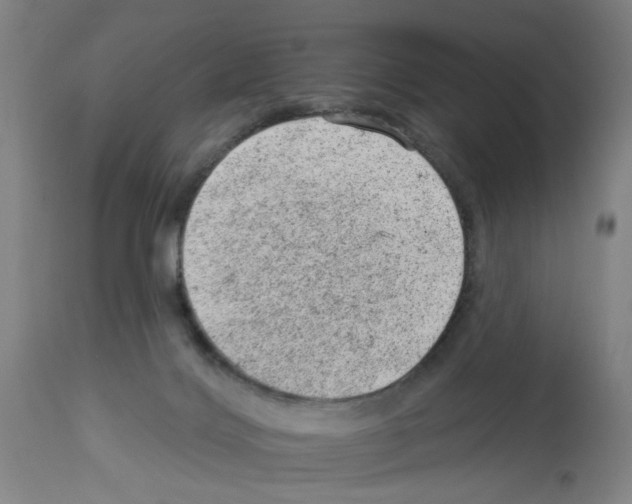 X0000112920028200910051119