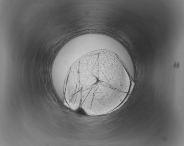 X0000112920029200910051119