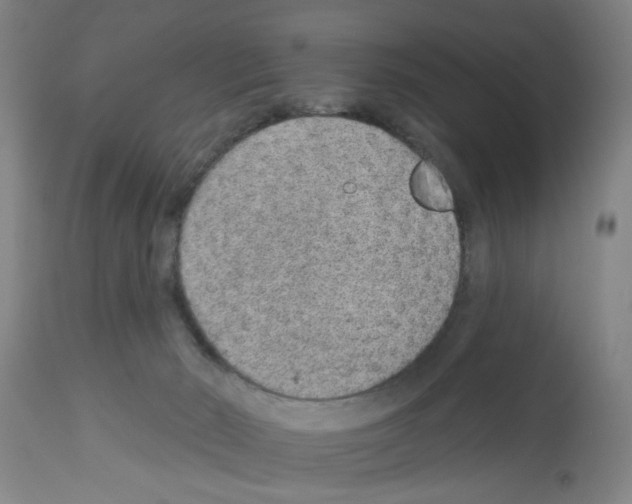 X0000112920030200910051119