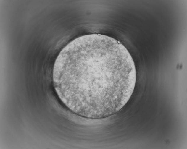 X0000112920031200910051119