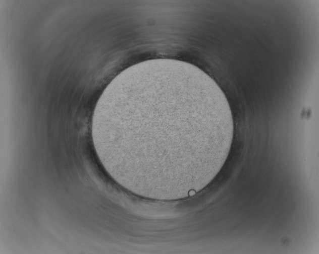 X0000112920032200910051119