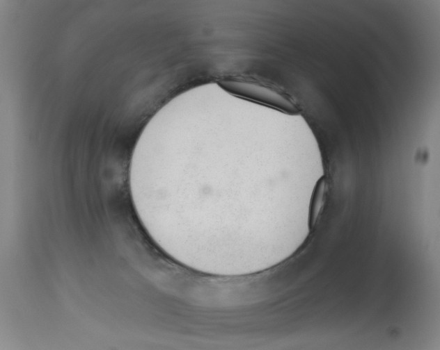 X0000112920033200910051119