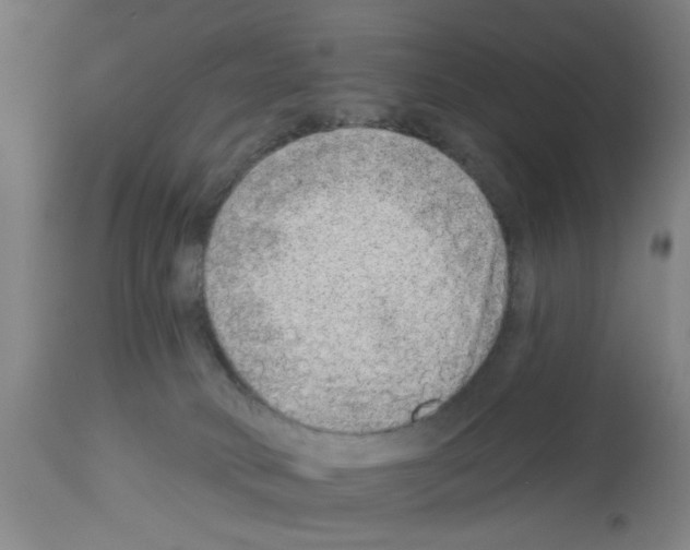 X0000112920034200910051119