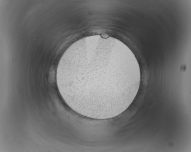 X0000112920036200910051119