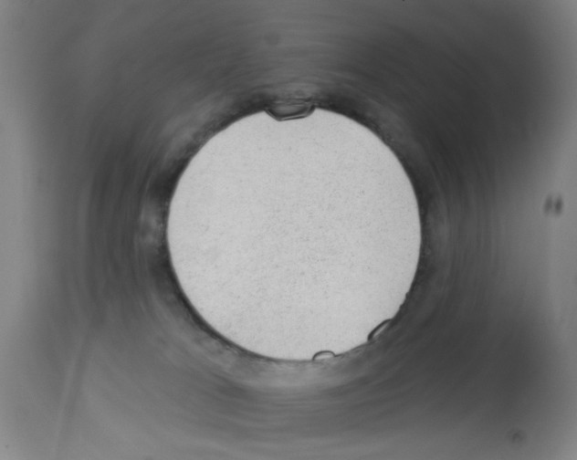 X0000112920037200910051119