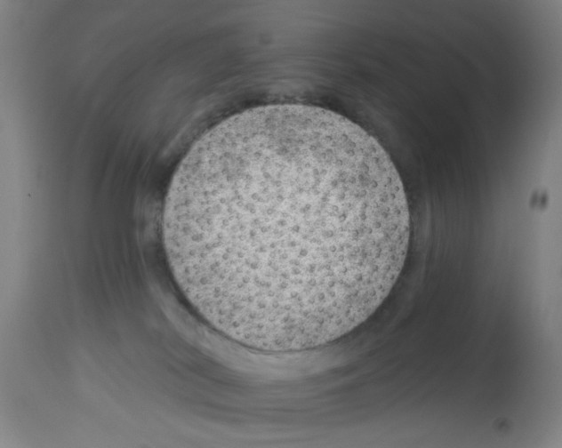 X0000112920038200910051119