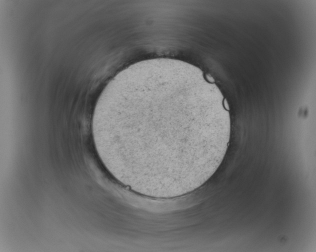 X0000112920039200910051119