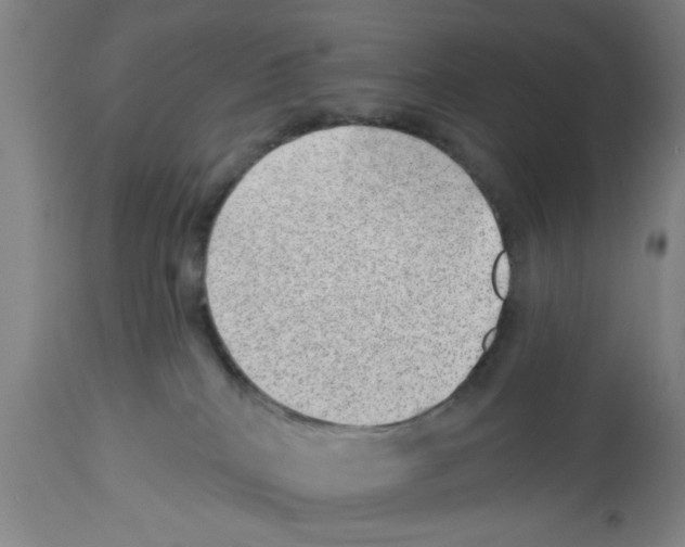 X0000112920040200910051119