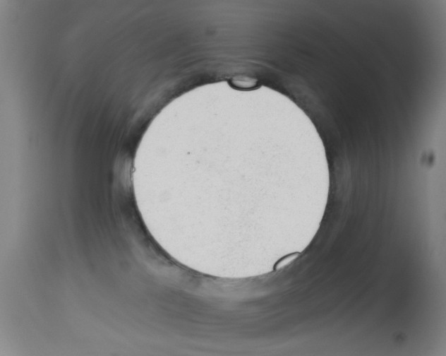 X0000112920041200910051119