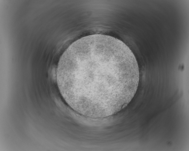 X0000112920042200910051119