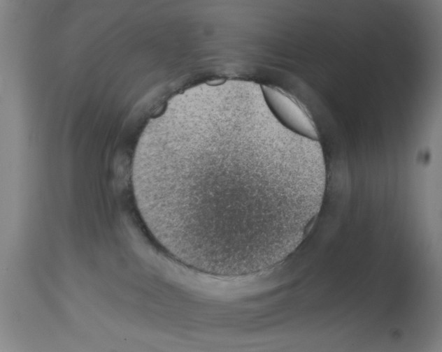 X0000112920043200910051118