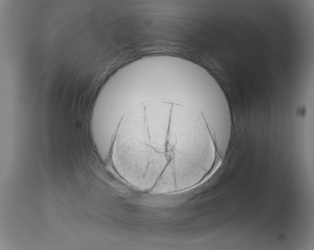 X0000112920045200910051118