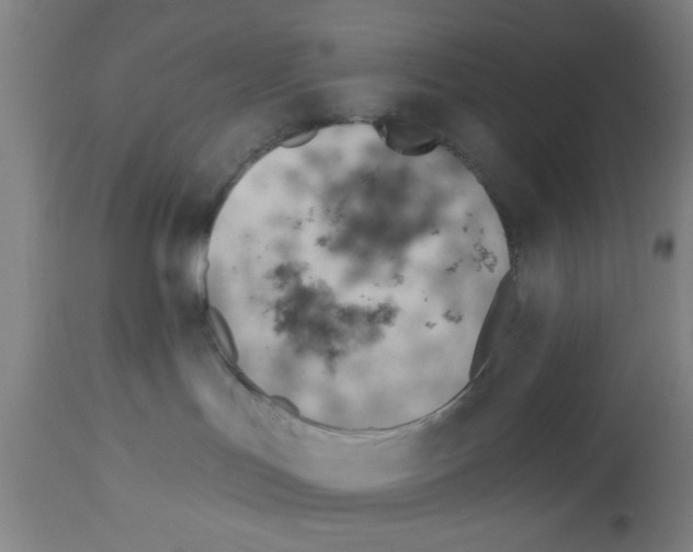 X0000112920047200910051118