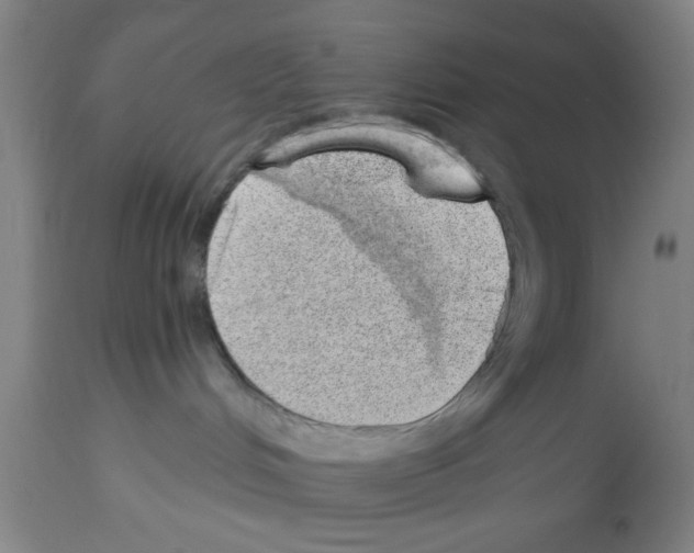 X0000112920048200910051118