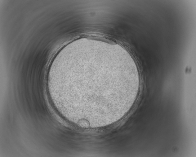 X0000112920049200910051118