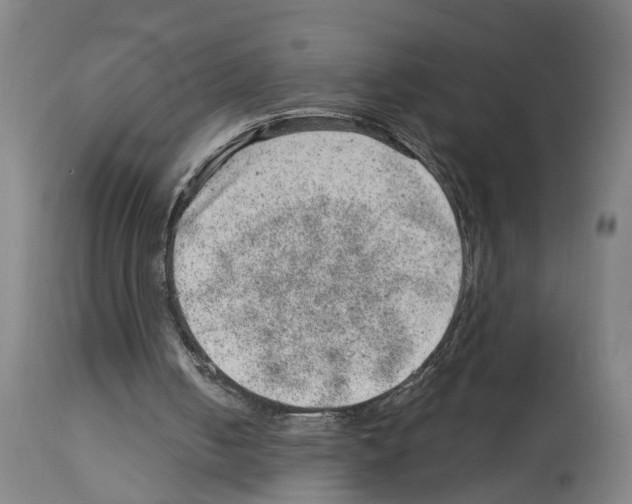 X0000112920050200910051118