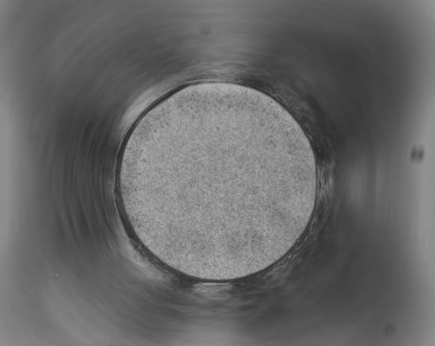 X0000112920051200910051118