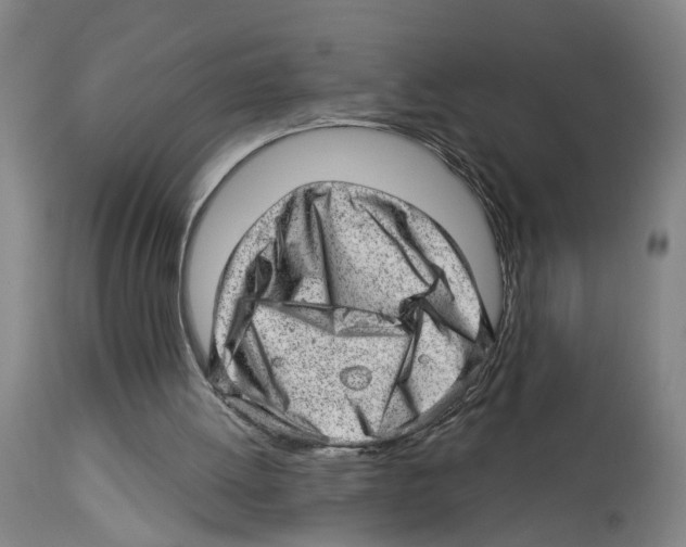 X0000112920052200910051118