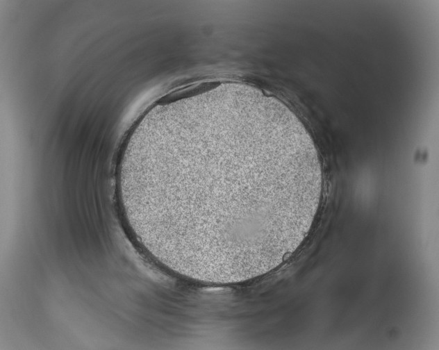 X0000112920053200910051118