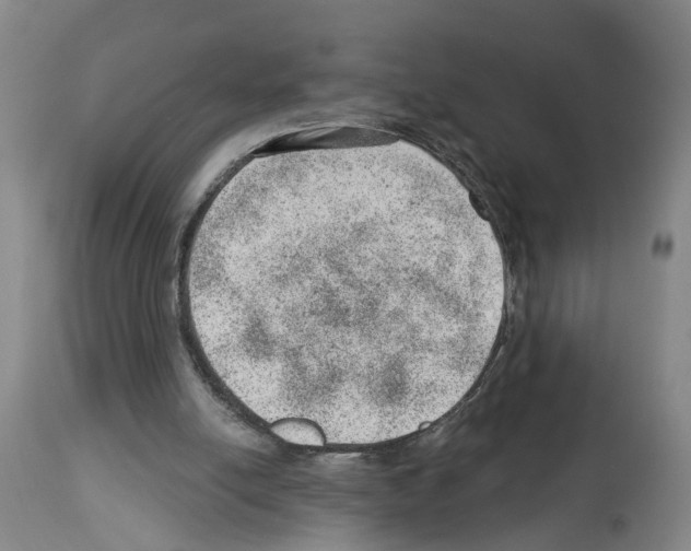X0000112920054200910051118